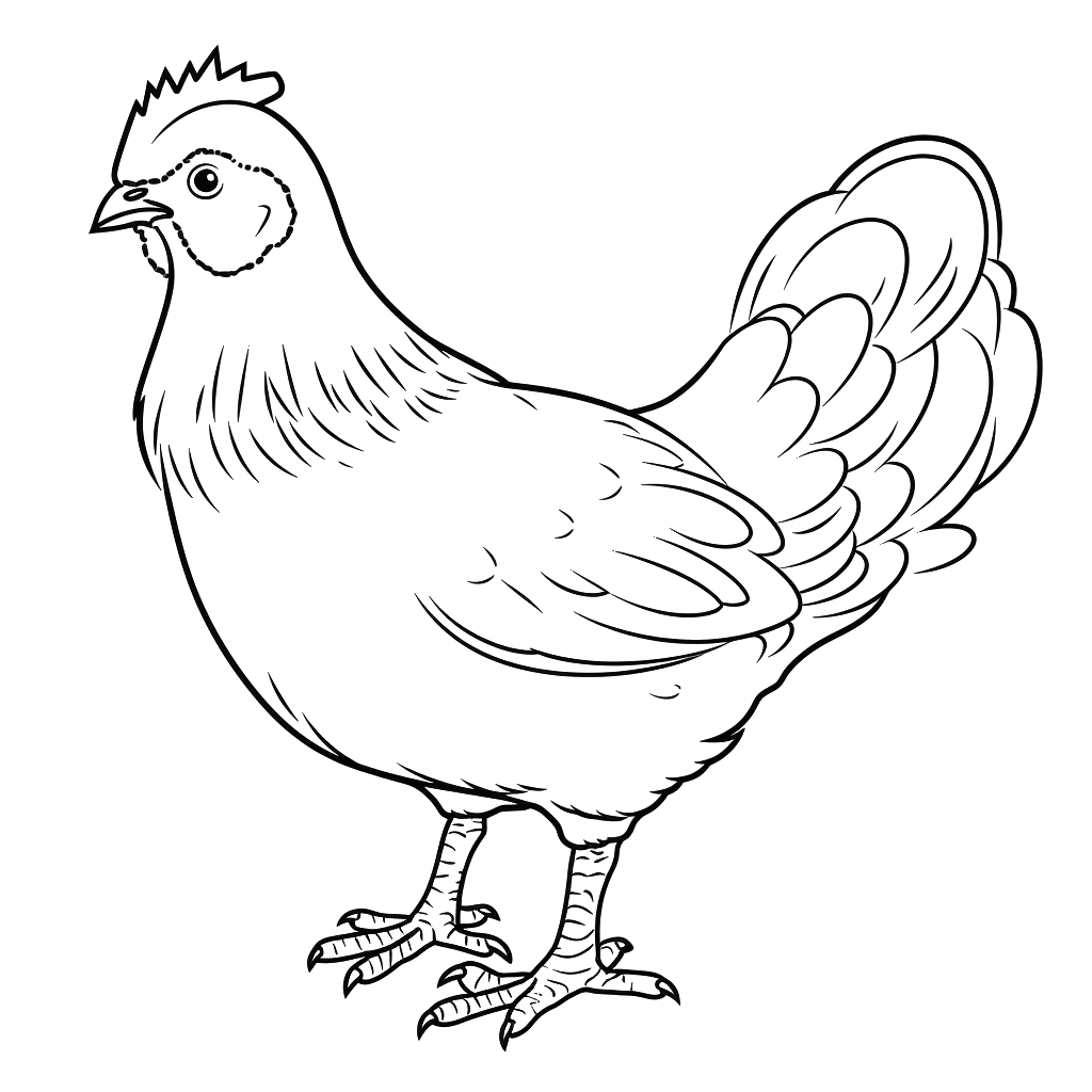 Dibujo de gallina para colorear 9 listo para imprimir gratis