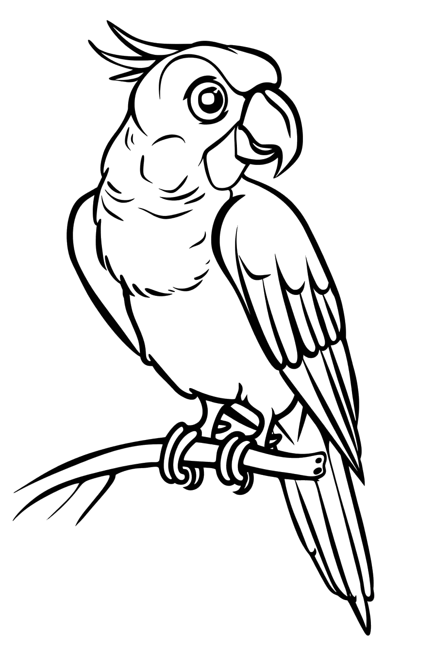 Dibujo de loro para colorear 2 listo para imprimir gratis