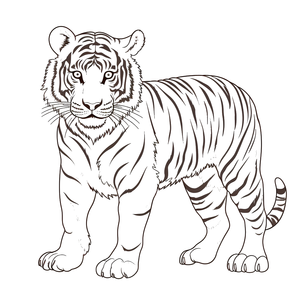 Dibujo de tigre para colorear 12 listo para imprimir gratis