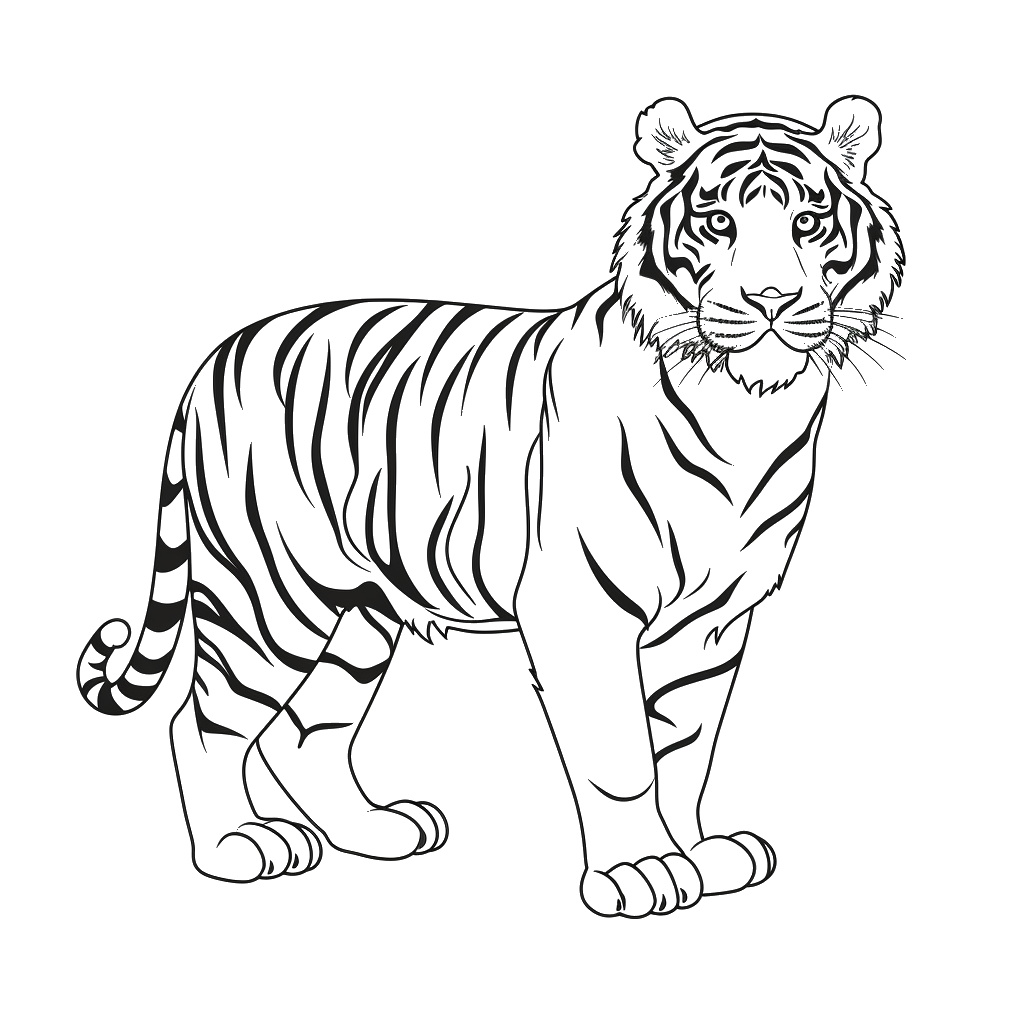 Dibujo de tigre para colorear 20 listo para imprimir gratis