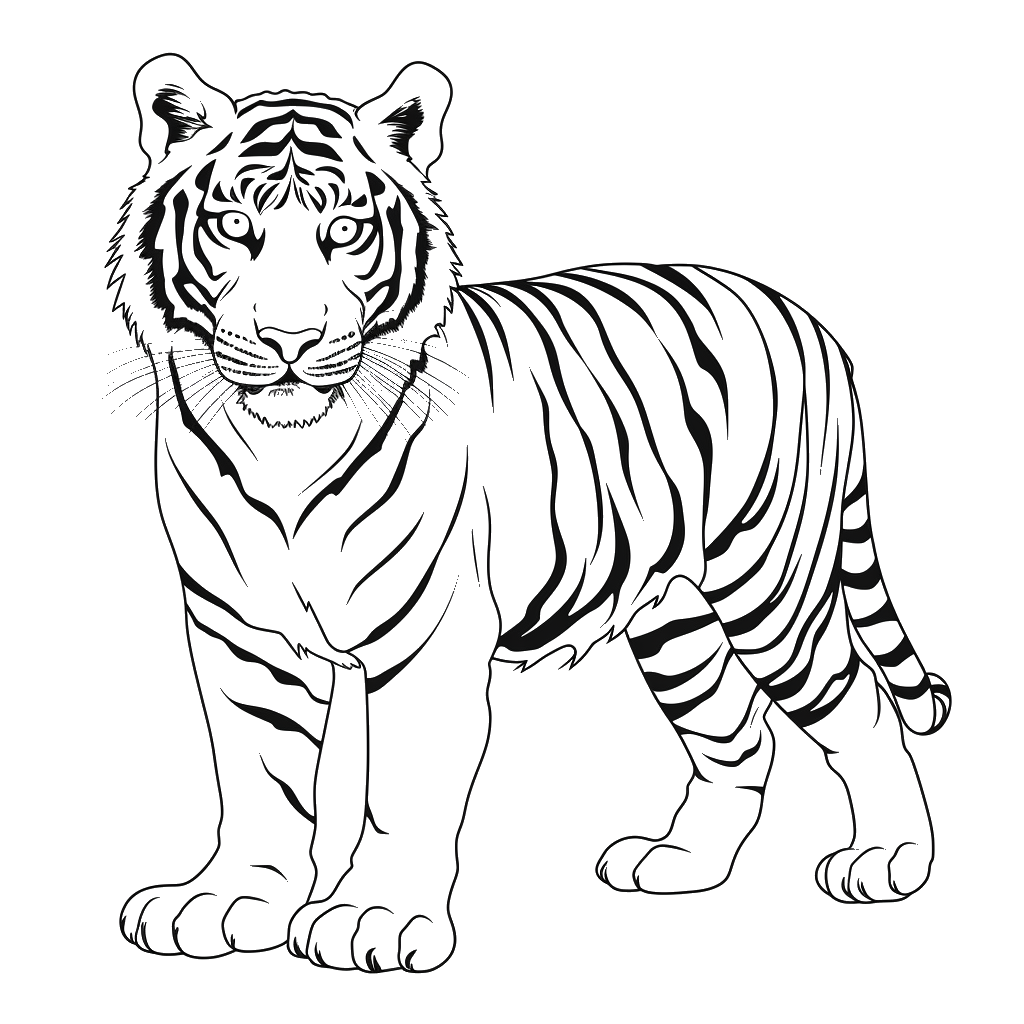 Dibujo de tigre para colorear 3 listo para imprimir gratis